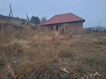 1 комната, 20 м², 5 соток, Бишкек, Таш-Добо ж/м Собственник at lalafo.kg 1 комната, 20 м², 5 соток, Бишкек, Таш-Добо ж/м Собственник