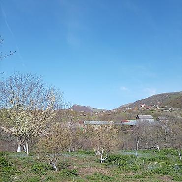 Torpaq sahələrinin satışı: Kənd təsərrüfatı — 14