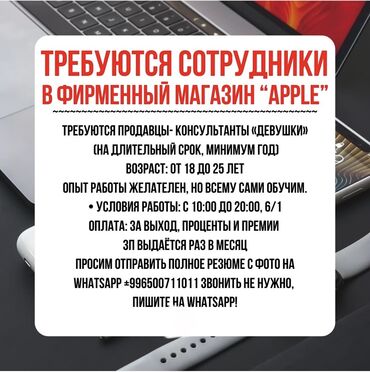 биндеры 230 листов с пластиковым корпусом: Продавец-консультант