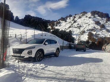 Hyundai: Hyundai Santa Fe: 2019 г., Кроссовер — 17