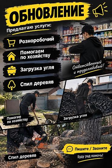 рабочая сила: Услуги помощника/разнорабочего Выполняю работы: - Разнорабочий — 1