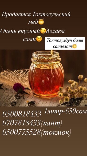 бронированные входные двери бишкек: Продается горный мёд🍯 Токтогулдун балы сатылат🍯🤤 Не сироп, все