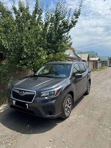 Subaru: Subaru Forester: 2019 г., 2.5 л, Вариатор, Бензин, Кроссовер