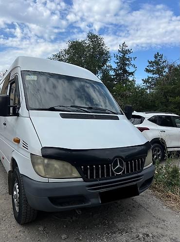 sliv pantera: Mercedes-Benz Спринтер: 2002 г., 2.9 л, Механика, Дизель, Бус — 1