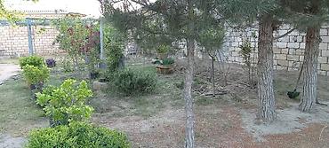 yaşma bağları torpaq: 5 otaqlı, 110 kv. m, Orta təmir — 3