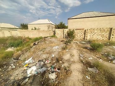 gence emlak alqi satqi: 6 sot, Tikinti, Mülkiyyətçi, Kupça (Çıxarış) — 1