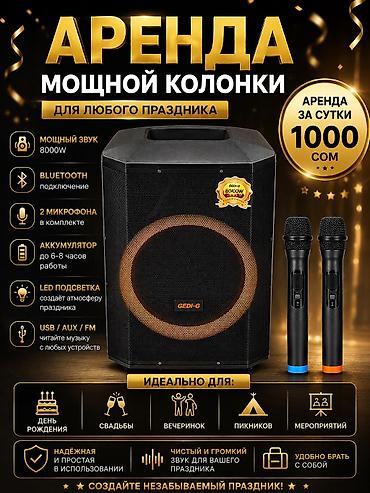 пиклер: Аренда мощной акустической колонки для любого праздника. Подходит для — 1