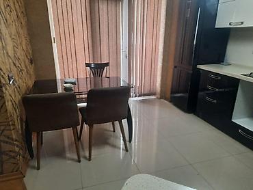 cepis satisi: 2 otaqlı, Yeni tikili, 85 kv. m — 9