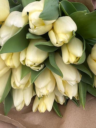 Букеты из живых цветов: Голландские Тюльпаны Оптом и в розницу!И Розы размеры 70см 80 см и 60 — 7