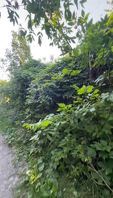 Продажа дачи: 🚨 Шашылыш сатылат! 🏡 Сокулук району, «Вишенка» дача конушу ✨ Табияты at lalafo.kg — 9 Продажа дачи: 🚨 Шашылыш сатылат! 🏡 Сокулук району, «Вишенка» дача конушу ✨ Табияты — 9