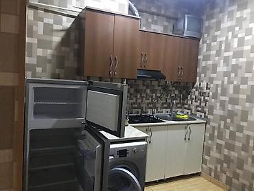 evde qal az: Oğlan və ya qız tələbələrə verilir — 3