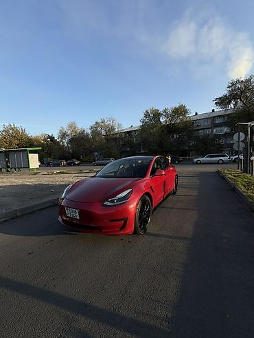 Tesla: Tesla Model 3: 2022 г., Электромобиль, Седан — 5