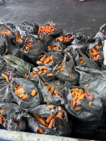 морковь цена за кг бишкек: КОРМОВАЯ МОРКОВЬ