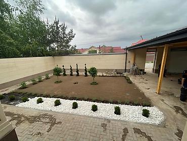 Другие услуги: Мы занимаемся созданием газонов на придомовой территории. Этот процесс — 8