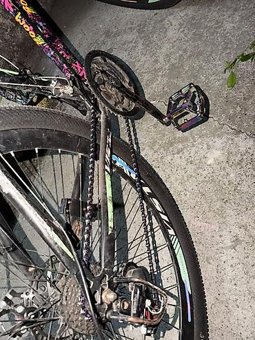 Şəhər velosipedləri: Velosipet 29luqdur real aliviya enidirim olacag isteyen bu nomre ile — 5