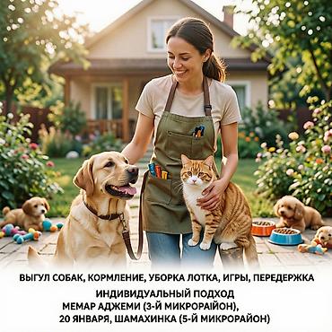 уборка квартиры: Услуги для питомцев: ✅ Выгул собак — от 10 AZN/час. ✅ Визит на дом — 1