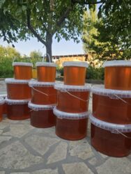 золотая жизнь гранатовый сок цена бишкек: Өзгөндүн Кумбел жайлоосунун таза КИЙИК ОТ балы сатылат. Ош шаарында