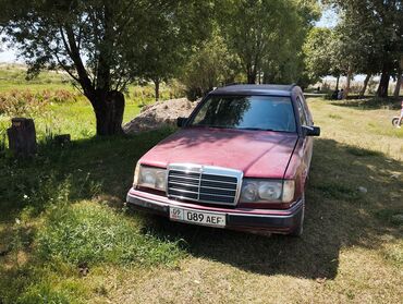 мерседес w124 e500 волчок купить в японии: Mercedes-Benz 220: 1992 г., 2.3 л, Механика, Бензин, Универсал