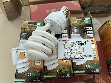 uvb: 💡Peşəkar Reptile UVB Lampa – Sağlamlıq və Güclü İnkişaf üçün! 🦎🌞 26W — 8