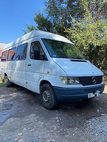 спада 2 4: Mercedes-Benz Спринтер: 2000 г., 2.9 л, Механика, Дизель, Бус — 3
