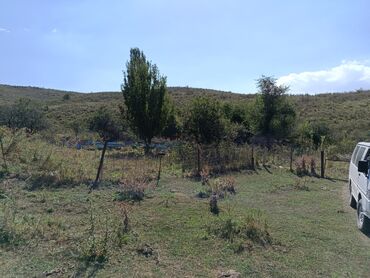 Продажа домов: Дом, 60 м², 4 комнаты, Собственник, Косметический ремонт — 17