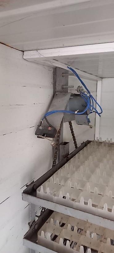 İnkubatorlar: Yumurta inkubasiya aparatı – “Automatic Computer Control Incubator” — 5