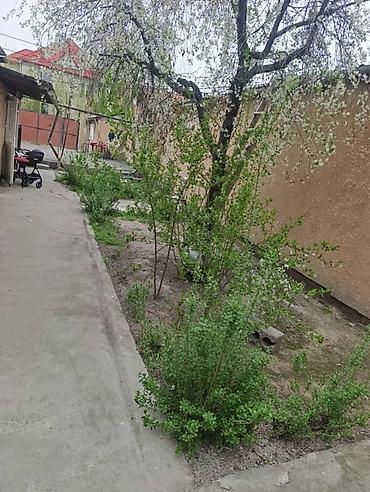 Продажа коттеджей и домов: Сдается дом на долгий срок . Цена договорная .ЗВОНИТЬ! Район Кызыл at lalafo.kg — 11 Продажа коттеджей и домов: Сдается дом на долгий срок . Цена договорная .ЗВОНИТЬ! Район Кызыл — 11