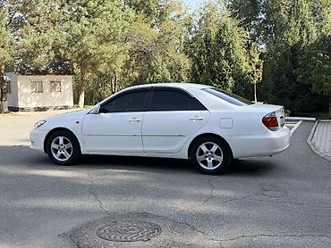 Toyota: Toyota Camry: 2005 г., 2.4 л, Автомат, Бензин, Седан — 7