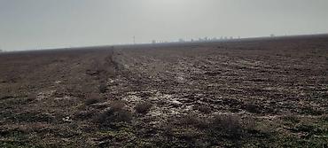 оптовый товар: 2400 соток, Для сельского хозяйства — 6
