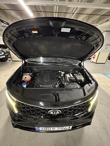 Kia: Kia Sorento: 2021 г., 2.2 л, Автомат, Дизель, Кроссовер — 14