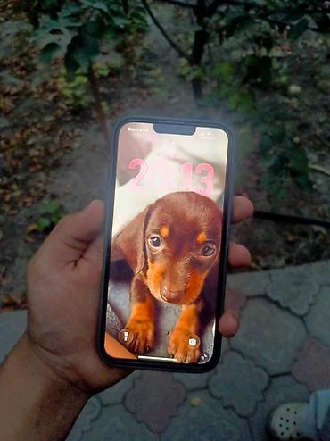 iphone зарядка для айфона: IPhone 13 Pro Max, Б/у, 128 ГБ, Jet Black, Чехол, 76 % — 3