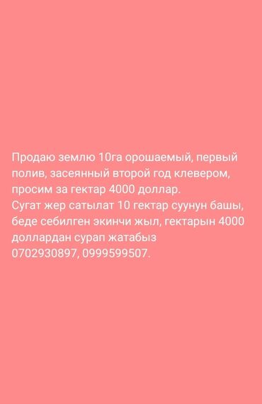 10 соток
