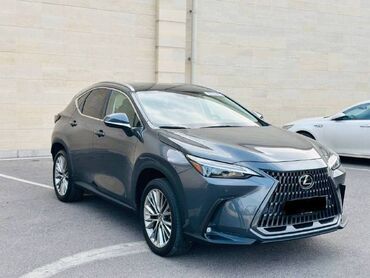 жип лексус: Lexus NX: 2022 г., 2.5 л, Типтроник, Бензин, Кроссовер