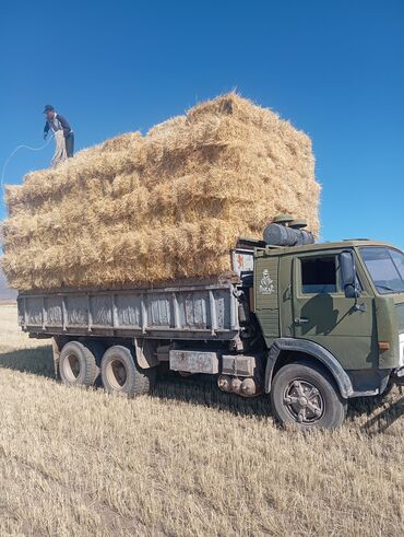 Другие Автомобили: КамАЗ сатылат донголоктор жаны Мос жаны мотор шыбырайт состояние