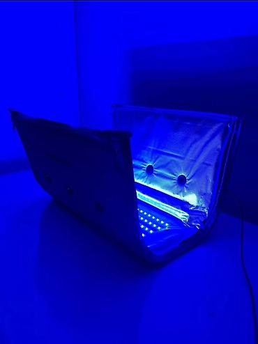 Медицинские лампы: В аренду 450с за сутки, всегда хорошо когда дома лечишь ребенка, в — 5