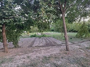 heyet evlerı: 3 otaqlı, 100 kv. m, Kredit yoxdur, Təmirsiz — 7