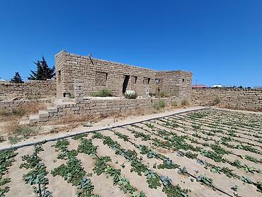 Torpaq sahələrinin satışı: Kənd təsərrüfatı — 4