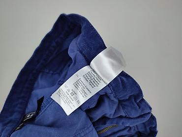 szary plaszcz pull: RAINBOW, Spodnie materiałowe damskie, rozmiar 2XL — 5