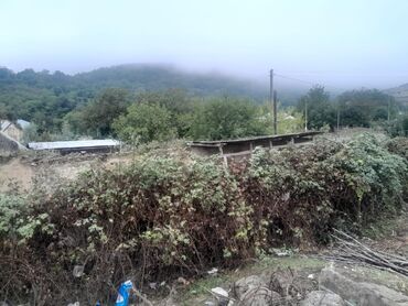 Torpaq sahələrinin satışı: 11 sot, Kənd təsərrüfatı, Kupça (Çıxarış) -da lalafo.az — 12 Torpaq sahələrinin satışı: 11 sot, Kənd təsərrüfatı, Kupça (Çıxarış) — 12