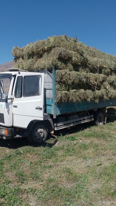 купить трактор мтз 82 бу в москве: Mercedes-Benz 190: 1995 г., 4.6 л, Механика, Дизель, Универсал