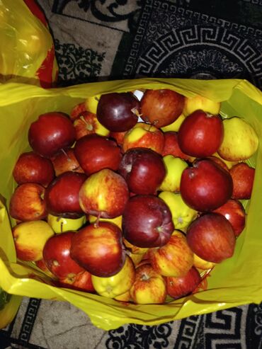 яблоки превосходные: Кыргызстан ᐈ Овощи ▷ 1893 объявлений ➤ lalafo.kg
