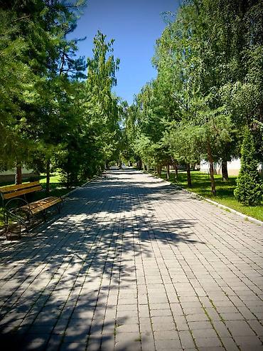 Продажа квартир: 3 комнаты, 46 м², Евроремонт — 14