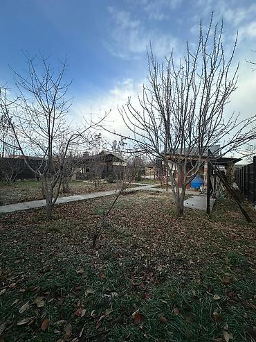 Продажа коттеджей и домов: 🚨 СРОЧНО ПРОДАЁТСЯ КОМФОРТНЫЙ 2-КОМНАТНЫЙ КИРПИЧНЫЙ ДОМ 📍 С. Таш-Дөбө — 13