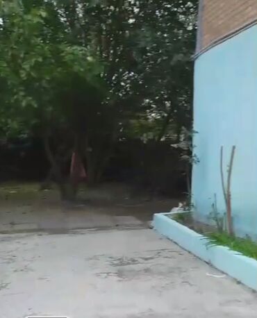 Həyət evləri və villaların satışı: 5 otaqlı, 166 kv. m, Kredit yoxdur, Orta təmir — 15