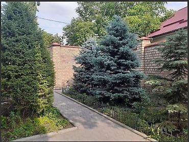Үйлөр: 365 м², 6 бөлмө жана андан көп, Арча-Бешик ж/м — 3