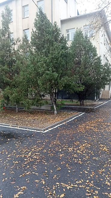 проспект строй: Благоустройство территорий и дорожные работы Профессиональные работы — 4