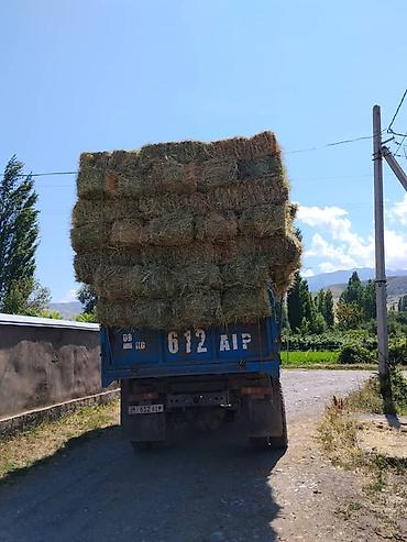продам гбо метан бу: Машина в идеальном состоянии вложений не требуется Состояния сел и — 6