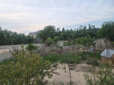 goradil: 3 sot, Tikinti, Mülkiyyətçi, Texniki pasport, Kupça (Çıxarış) — 1