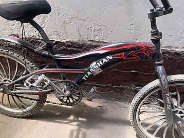 запчс: Горный велосипед, Рама XS (130 -155 см), Титан, Б/у — 1