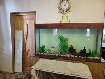 Akvarium tecili satilir 500 litrlik elaqe nomresi 055 289 92 02
